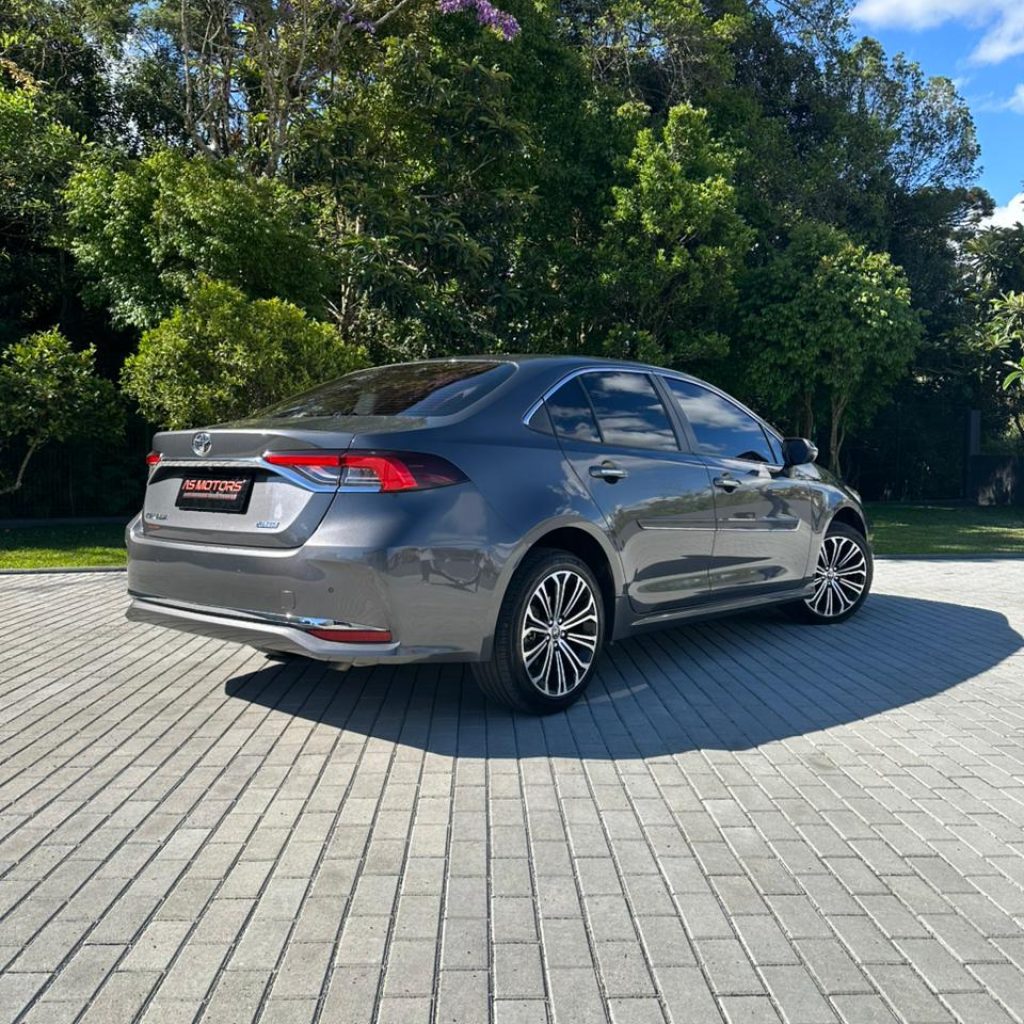 WhatsApp-Image-2025-12-16-at-15.38.42